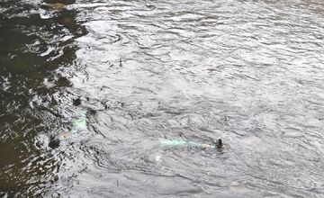 FOTO: Bolt kolobežky skončili v Hrone