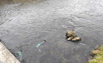 FOTO: Bolt kolobežky skončili v Hrone