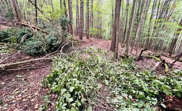 FOTO: Singletrail z Kráľovej na Lipovec poškodila ťažba dreva