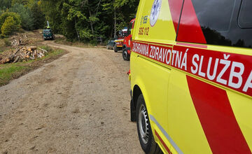 FOTO: Muža v Brusne pri rezaní stromu zasiahol padajúci konár a zlomil mu nohu