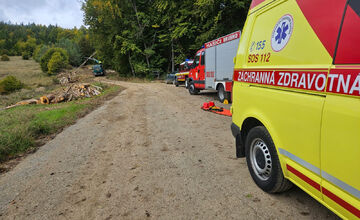 FOTO: Muža v Brusne pri rezaní stromu zasiahol padajúci konár a zlomil mu nohu