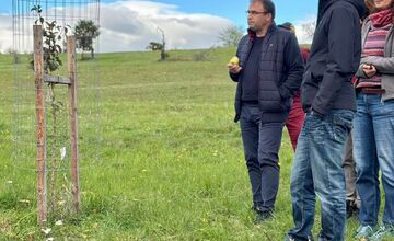 FOTO: Mestský sad na Papuľke sa rozrastá