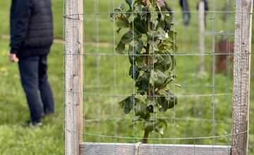 FOTO: Mestský sad na Papuľke sa rozrastá