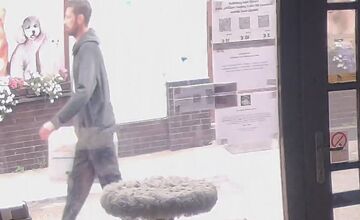 FOTO: Krabica pred kaviarňou ukrývala prekvapenie