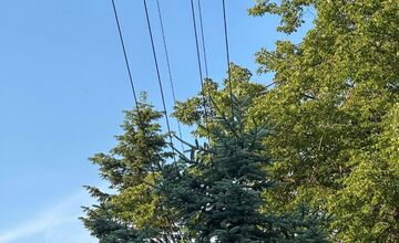 FOTO: Podnety Zvolenčanov na zlepšenie