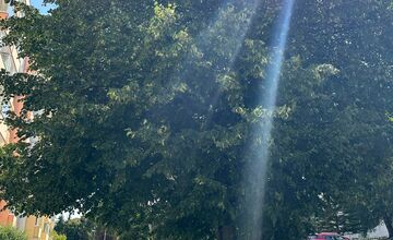 FOTO: Podnety Zvolenčanov na zlepšenie