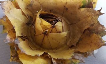 FOTO: Úkazy z lístia bavia celé Slovensko, ľudia sa predbiehajú v nápadoch