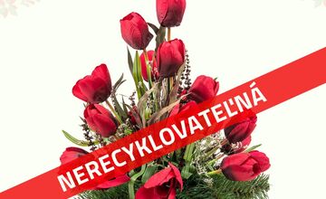 FOTO: Skleníky na Rákoši zaplavili farby jesene