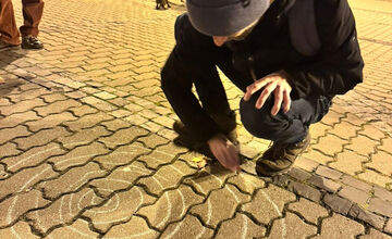 FOTO: V Bystrici sa konal netradičný protest proti výrubu v mestskom parku