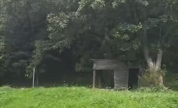 FOTO: Smutný osud svorky zo salaša