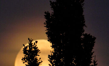 FOTO: Bystričanov uchvátil najväčší superspln roka, pozrite si krásne fotky