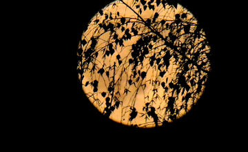 FOTO: Bystričanov uchvátil najväčší superspln roka, pozrite si krásne fotky