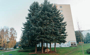 FOTO: Vo Zvolene umiestnili prvých päť zimovísk pre ježkov a drobné živočíchy 