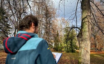 FOTO: Park na Tajovského ulici preverujú arboristi a vedci