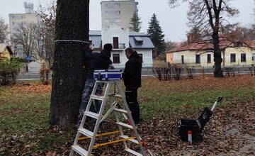 FOTO: Park na Tajovského ulici preverujú arboristi a vedci