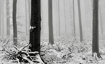 FOTO: Zimná rozprávka v Banskobystrickom kraji