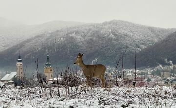 FOTO: Zimná rozprávka v Banskobystrickom kraji