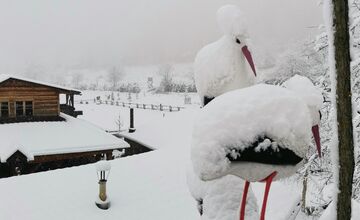 FOTO: Zimná rozprávka v Banskobystrickom kraji