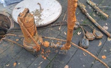 FOTO: Zvolenské medokýše sú pod drobnohľadom