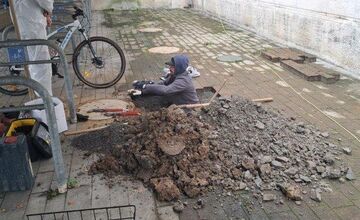 FOTO: Zvolenské medokýše sú pod drobnohľadom