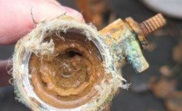 FOTO: Zvolenské medokýše sú pod drobnohľadom