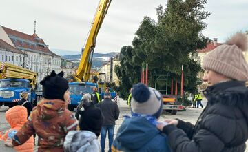 FOTO: Na Námestie SNP v Banskej Bystrici doviezli vianočný stromček