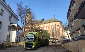 FOTO: Na Námestie SNP v Banskej Bystrici doviezli vianočný stromček