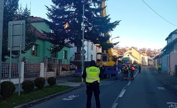 FOTO: Na Námestie SNP v Banskej Bystrici doviezli vianočný stromček