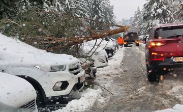 FOTO: Spadnuté stromy blokujú ulice v Banskej Bystrici