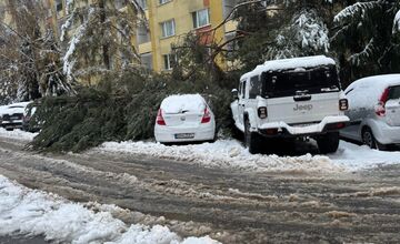 FOTO: Spadnuté stromy blokujú ulice v Banskej Bystrici