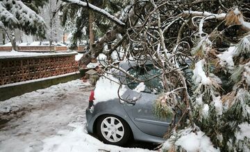 FOTO: Spadnuté stromy blokujú ulice v Banskej Bystrici