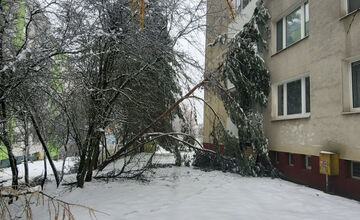 FOTO: V Banskej Bystrici popadali stromy na autá