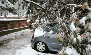FOTO: V Banskej Bystrici popadali stromy na autá