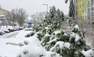 FOTO: V Banskej Bystrici popadali stromy na autá