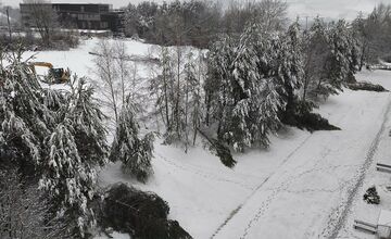 FOTO: Snehová kalamita v Banskej Bystrici