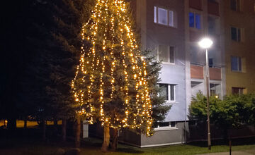 FOTO: Mestská časť Banskej Bystrice má vlastný vianočný stromček