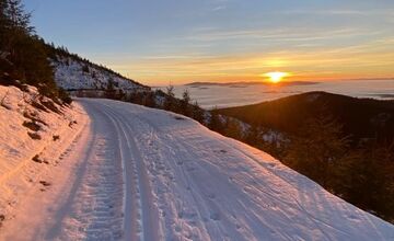 FOTO: Využite počas zimy Skibus a Bežkobus