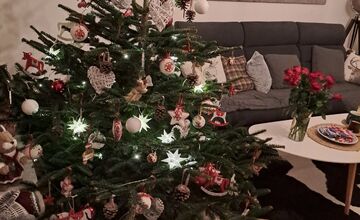 FOTO: Takto vyzerajú vianočné stromčeky našich čitateľov