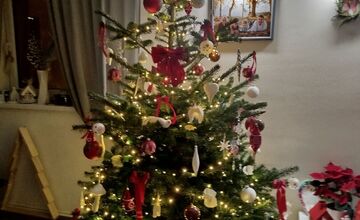 FOTO: Takto vyzerajú vianočné stromčeky našich čitateľov