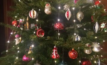 FOTO: Takto vyzerajú vianočné stromčeky našich čitateľov