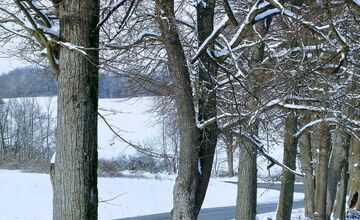 FOTO: Zábery zasneženého Zvolena