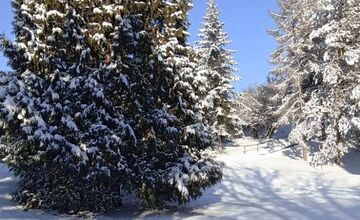 FOTO: Zábery zasneženého Zvolena