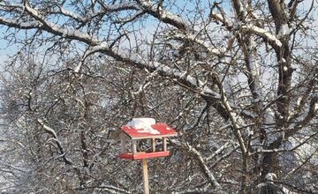 FOTO: Zábery zasneženého Zvolena