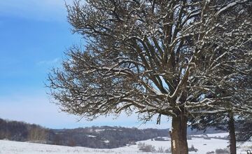 FOTO: Zábery zasneženého Zvolena