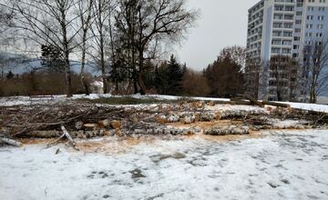 FOTO: Výrub stromov na Zlatom Potoku