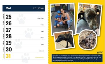 FOTO: Útulok si pripravil kalendár na rok 2026