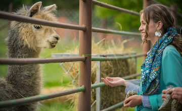 FOTO: Bratislavčanka Miša prichádza do Košíc, čo tu nájde?