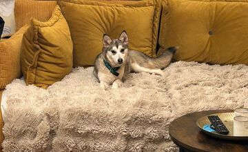 FOTO: Fenka Kikuš si našla novú rodinku v Nemecku