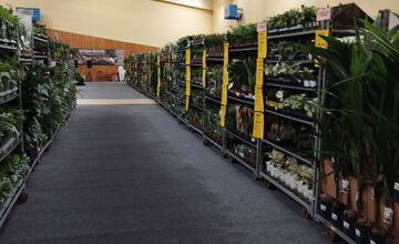 FOTO: Festival rastlín vo Zvolene