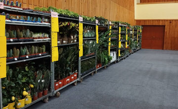 FOTO: Festival rastlín vo Zvolene